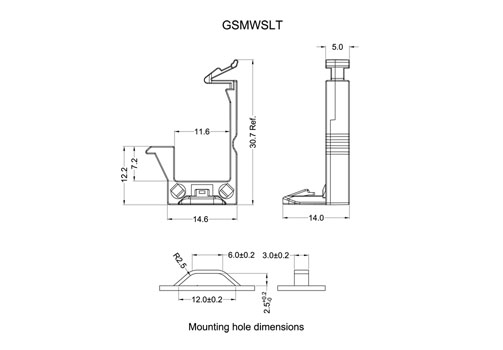 GSMWSLT 2D 503X350.jpg